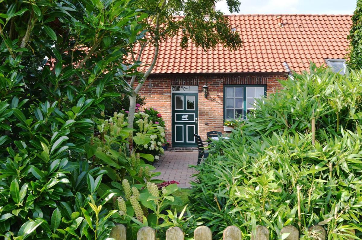 Haus Hoelle - Hohenkirchen Hohenkirchen  Exterior photo